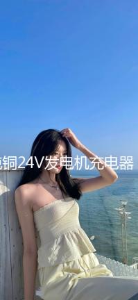 純銅24V發(fā)電機充電器12V叉車貨車通用大功率蓄電池電瓶汽車充電器